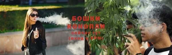 ECSTASY Белокуриха