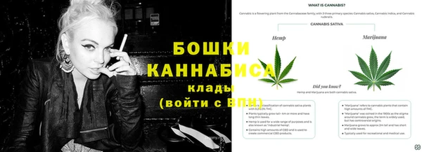 ECSTASY Белокуриха