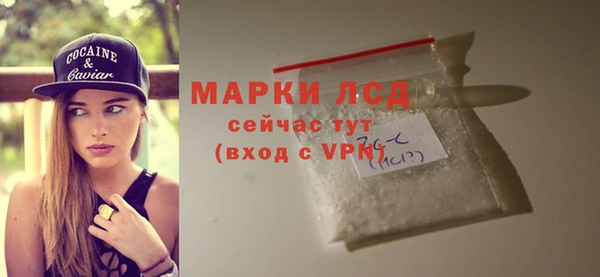 ECSTASY Белокуриха