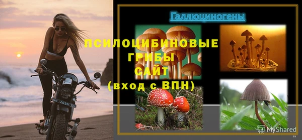 ECSTASY Белокуриха