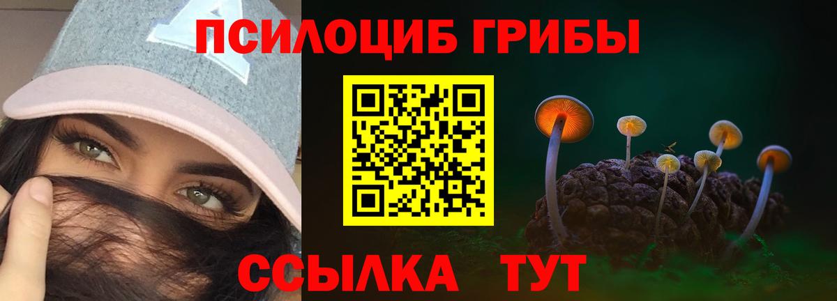 Галлюциногенные грибы MAGIC MUSHROOMS  Вход с VPN  Верхняя Пышма 